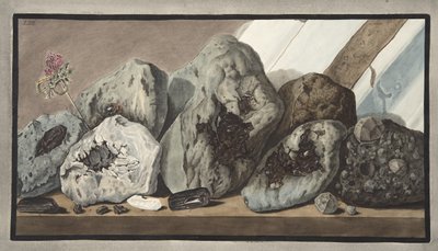 Stones of Crystals Called Gems of Mount Vesuvius, Plate LIIII, from 